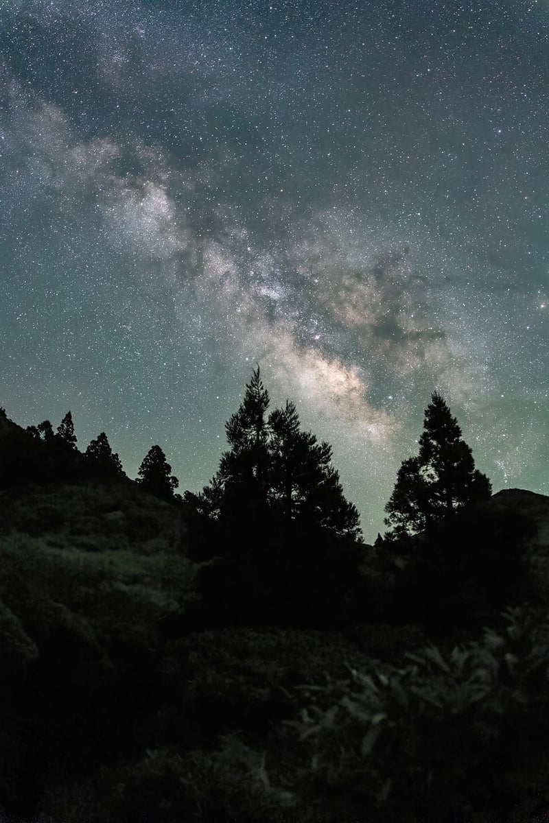 Galaxy